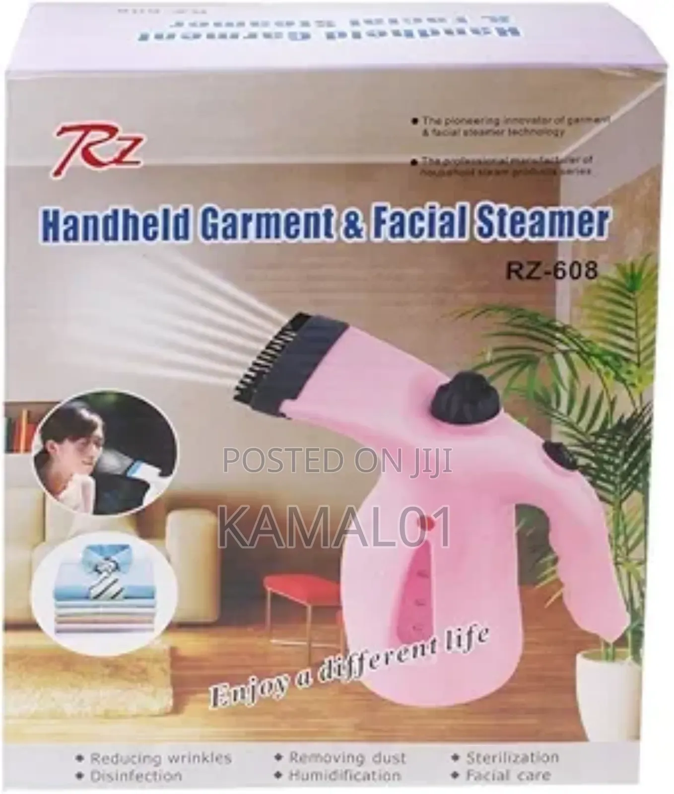 Handheld Garment Facial Steamer Rz-608