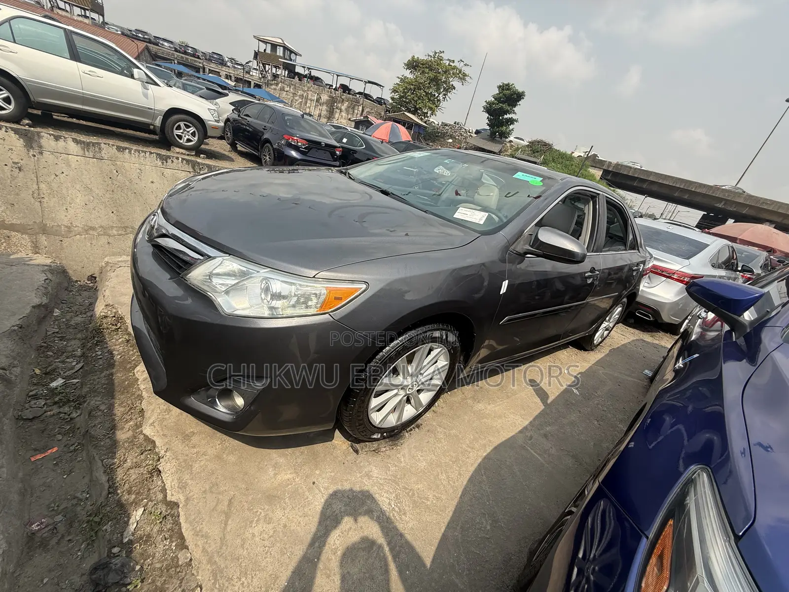 Toyota Camry XLE V6 4dr Sedan (3.5L 6cyl 6A) 2013 Gray