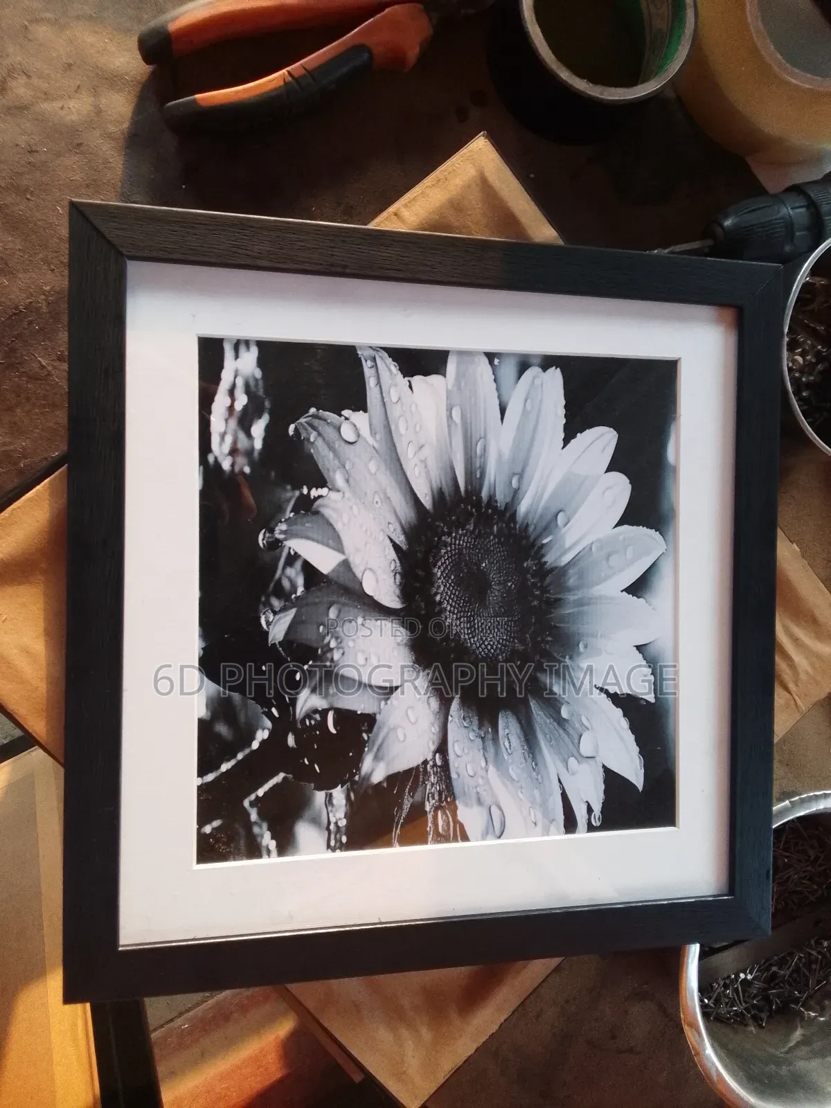 15 Pieces of 10 by 10 Picture Frame With White Boarder