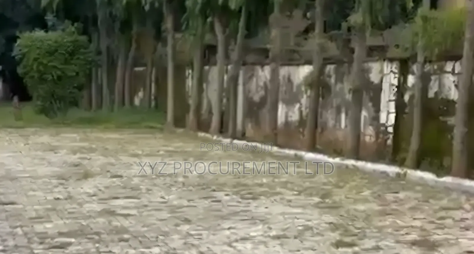 Massive 1.6 Hectares for Sale in Maitama