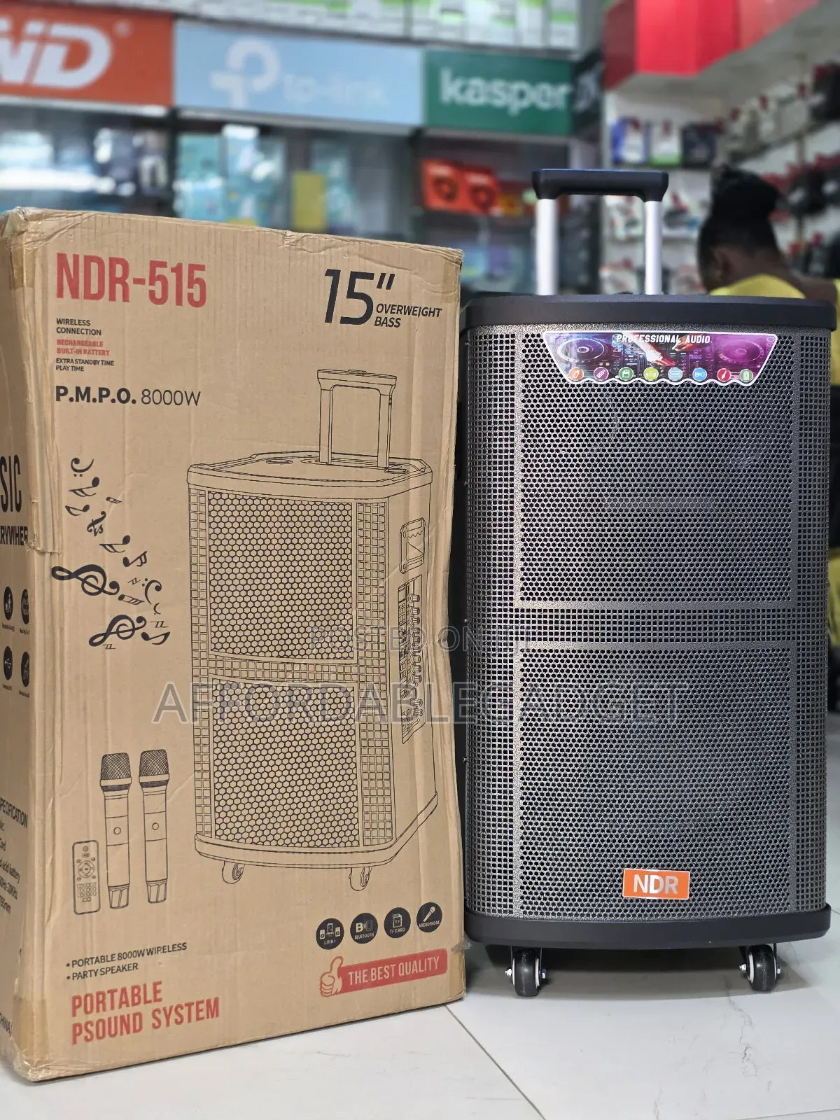 Public Address System With 2 Mic