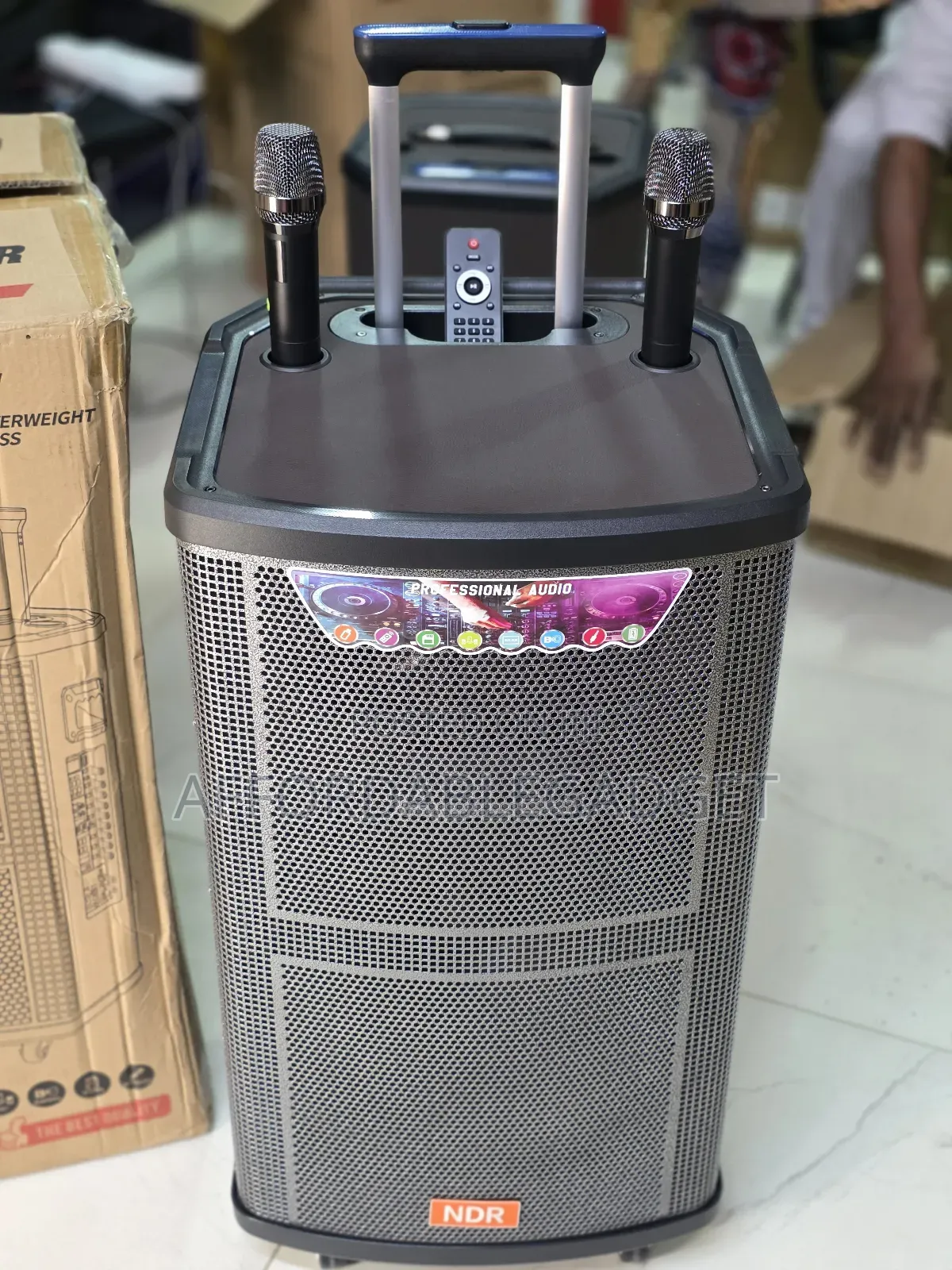 Public Address System With 2 Mic