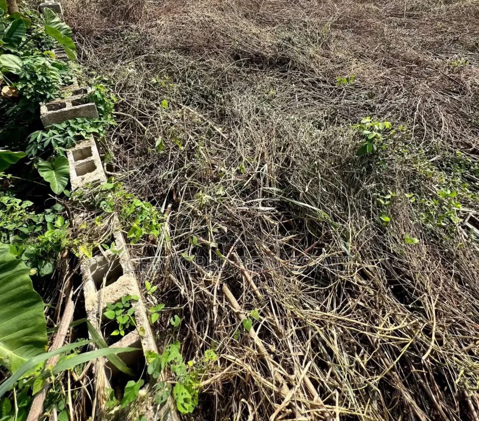 A Plot of Land at Opposite First Bank Oke Ado Ibadan