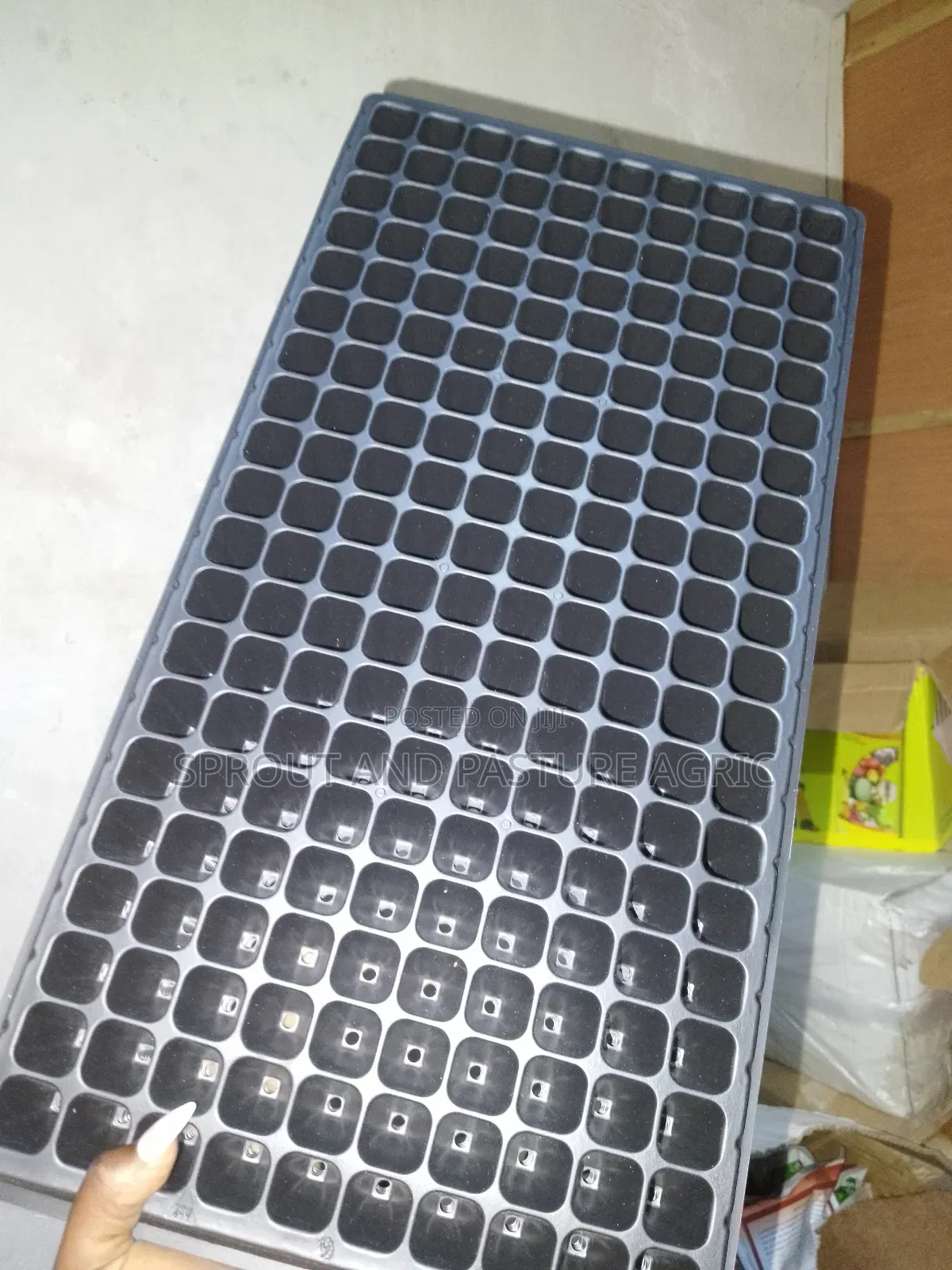 Seedtray 105, 128 and 200 Cells