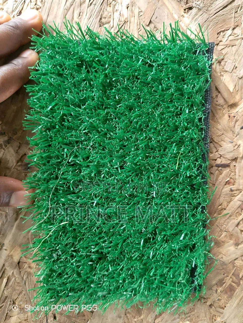 Carpet Grass