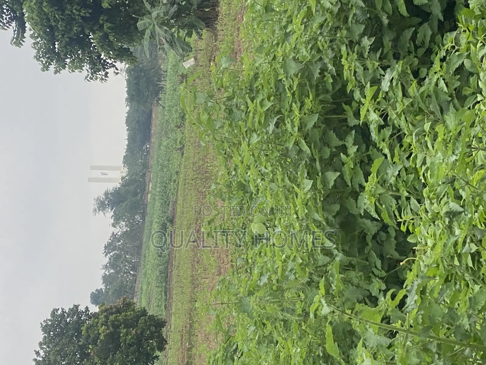 Land for Sale