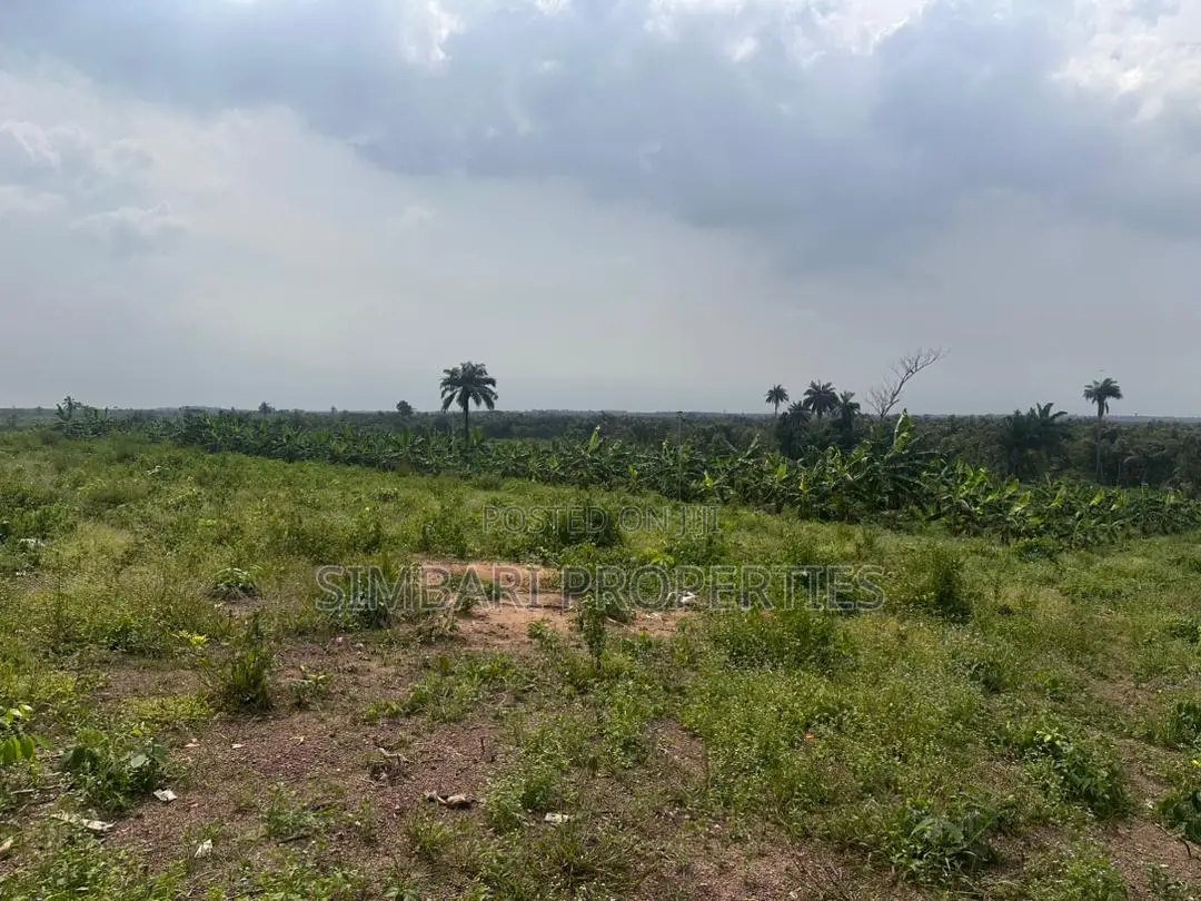 Affordable Plots of Land in Igboye Epe for Land Banking Income