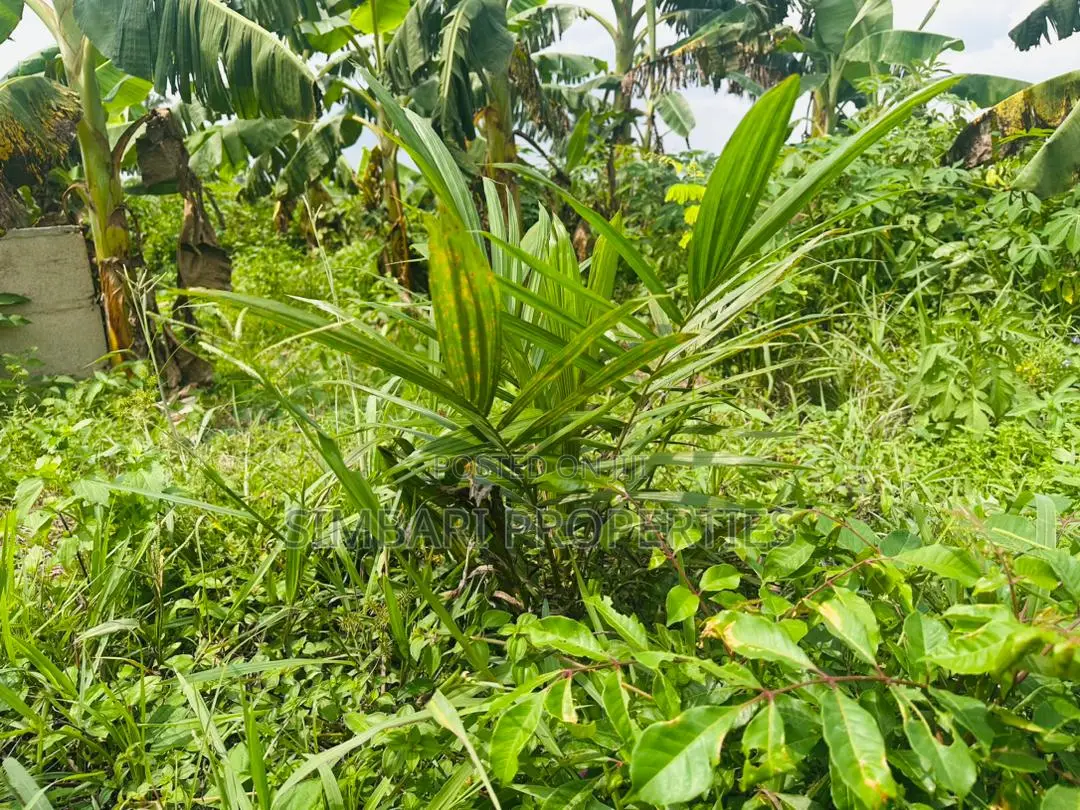 Affordable Plots of Land in Igboye Epe for Land Banking Income