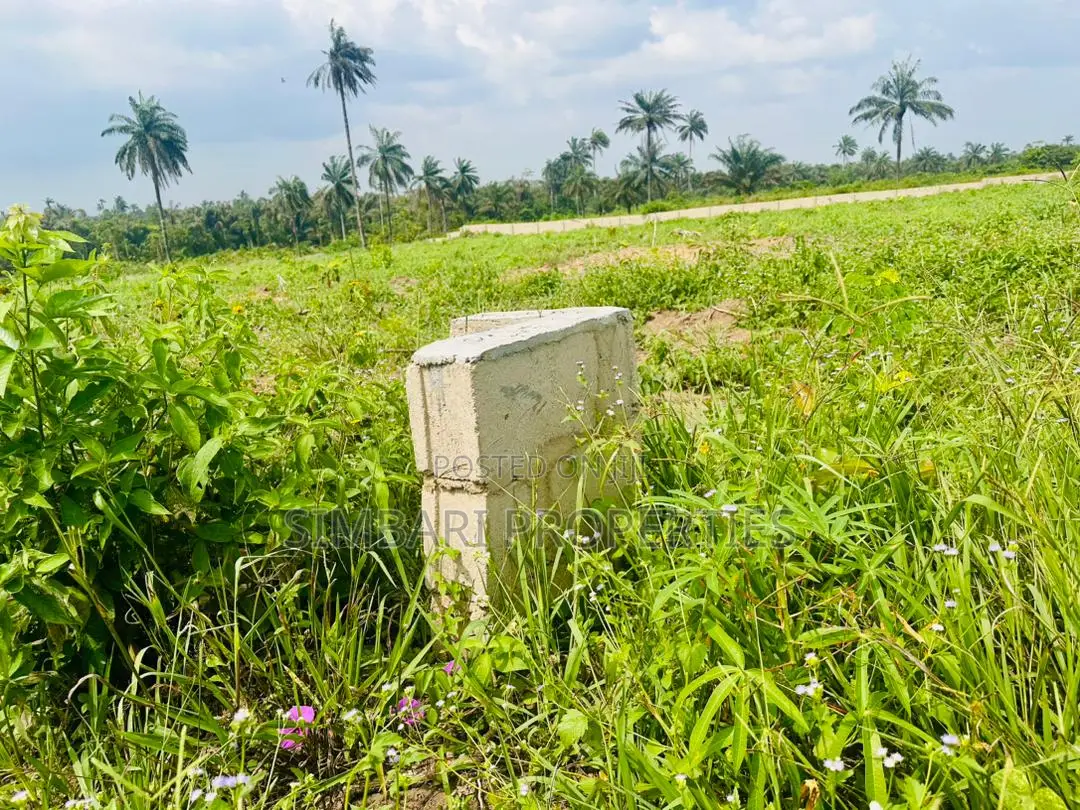 Affordable Plots of Land in Igboye Epe for Land Banking Income
