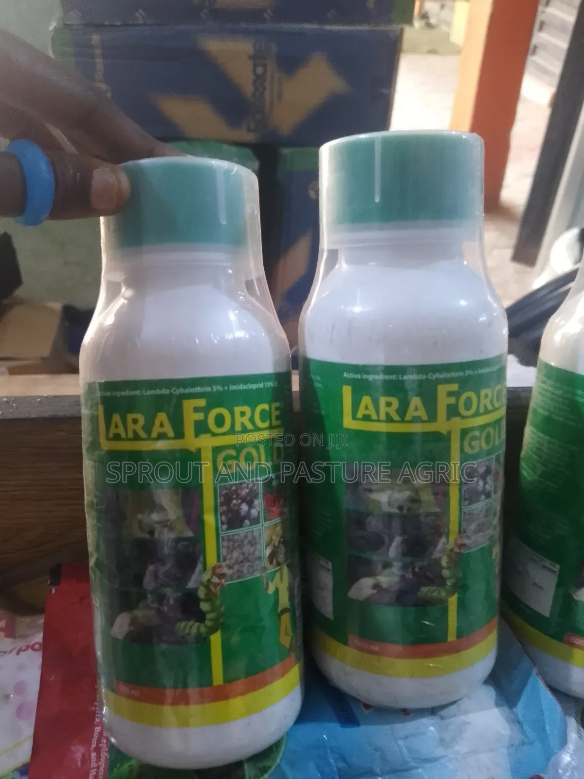 Laraforce Gold