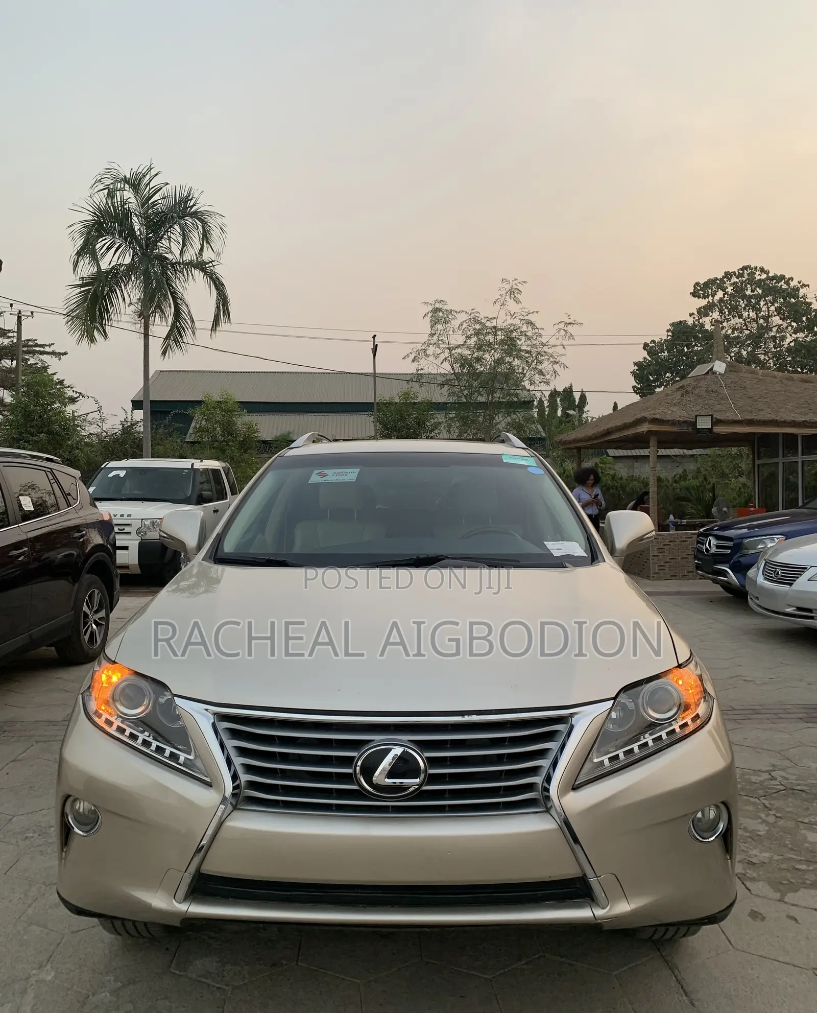 Lexus RX 350 2014 Silver