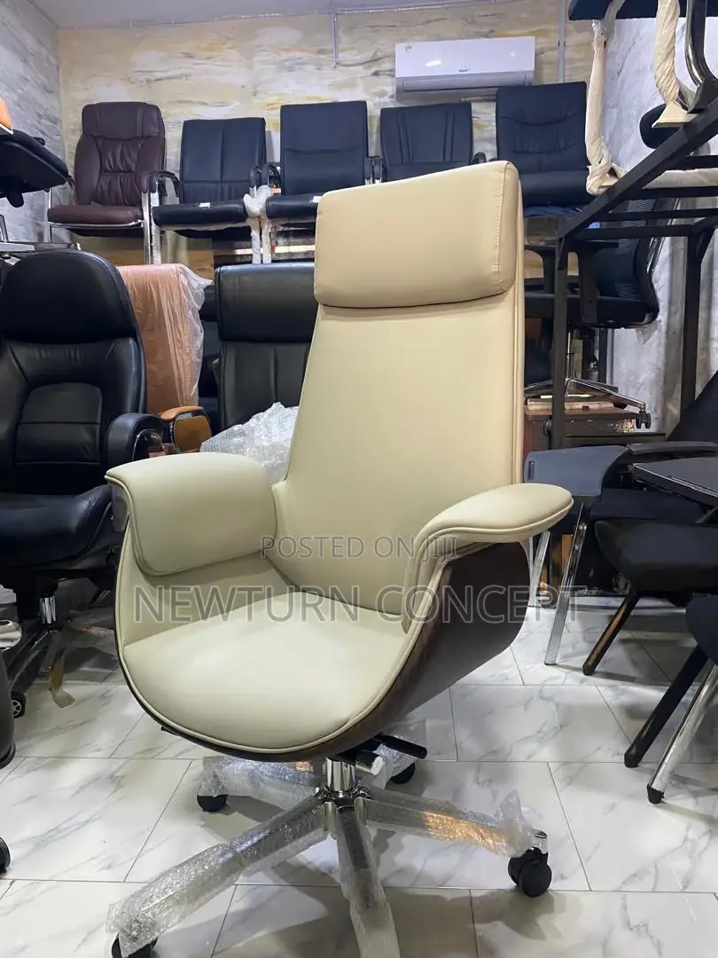 Executive Director Chair