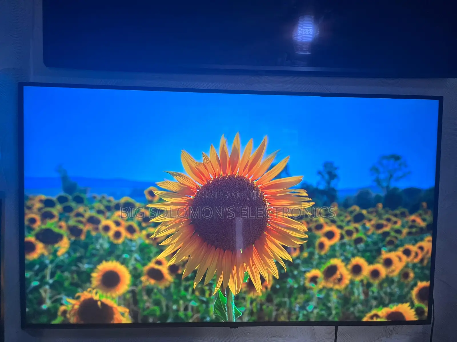 Lg 55 Inch Full Smart Tv
