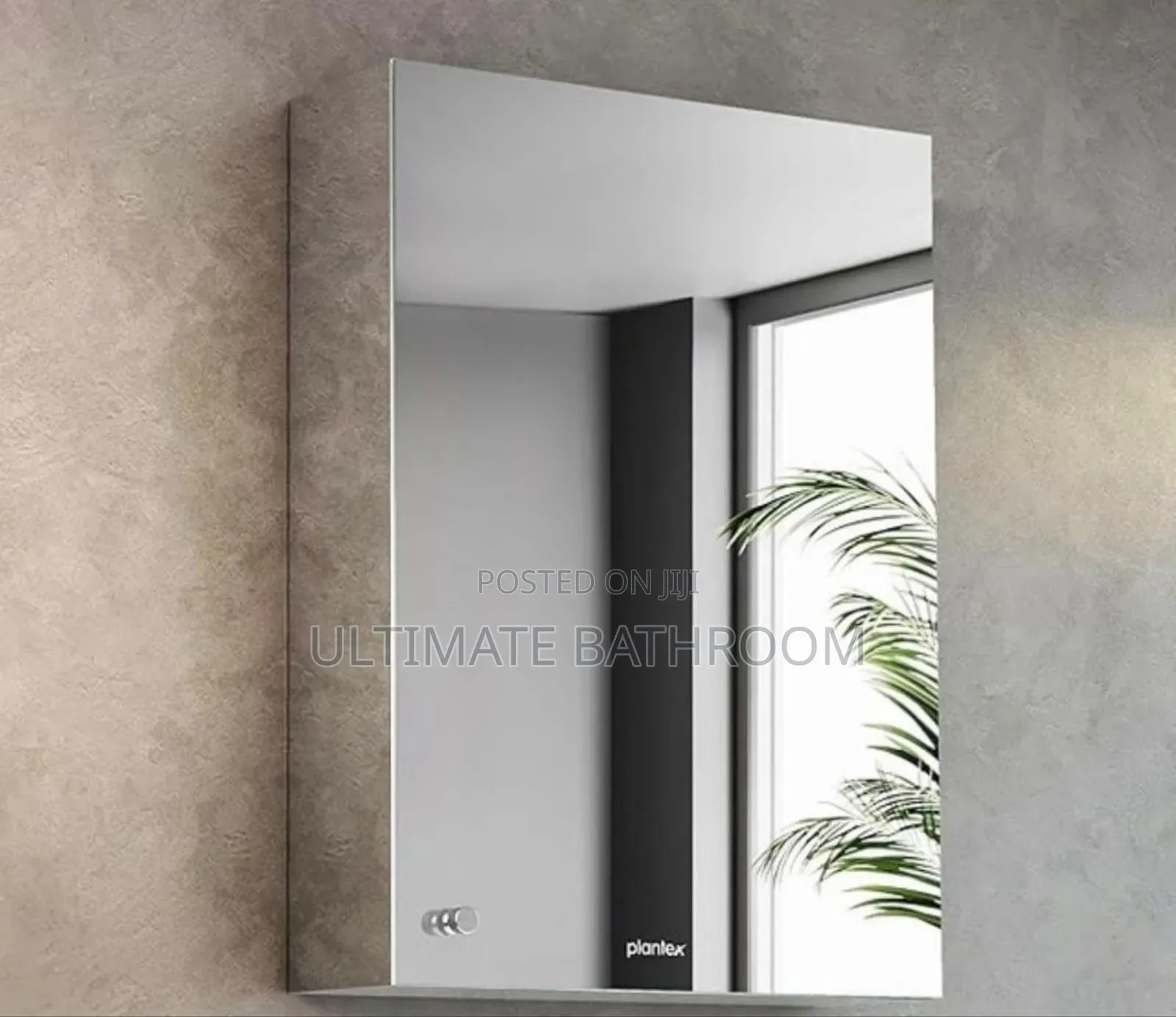 Stainless Steel Storage Cabinet Mirror
