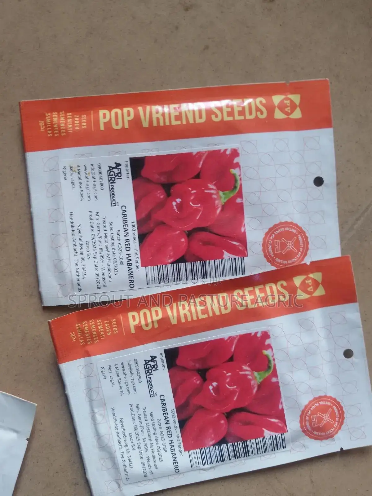 Caribean Red Habanero
