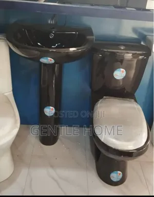 Black Toilet