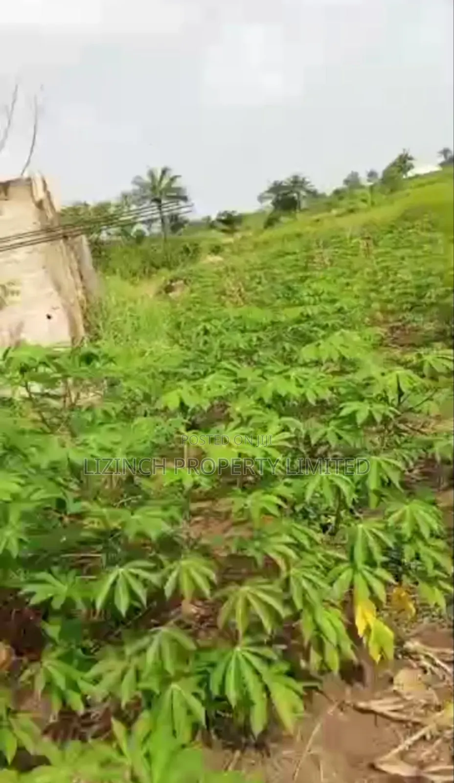 100ft by 100ft Land Available for Sale at Oviogie