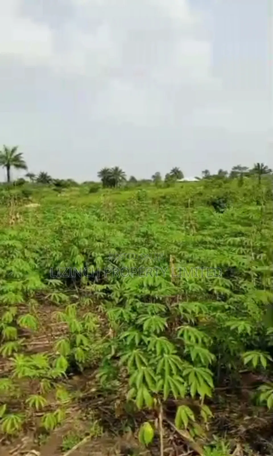 100ft by 100ft Land Available for Sale at Oviogie