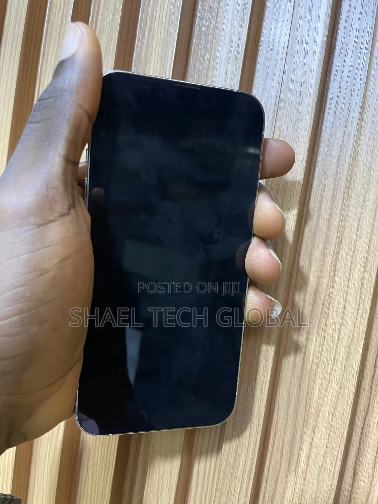 Apple iPhone 13 Pro 256 GB