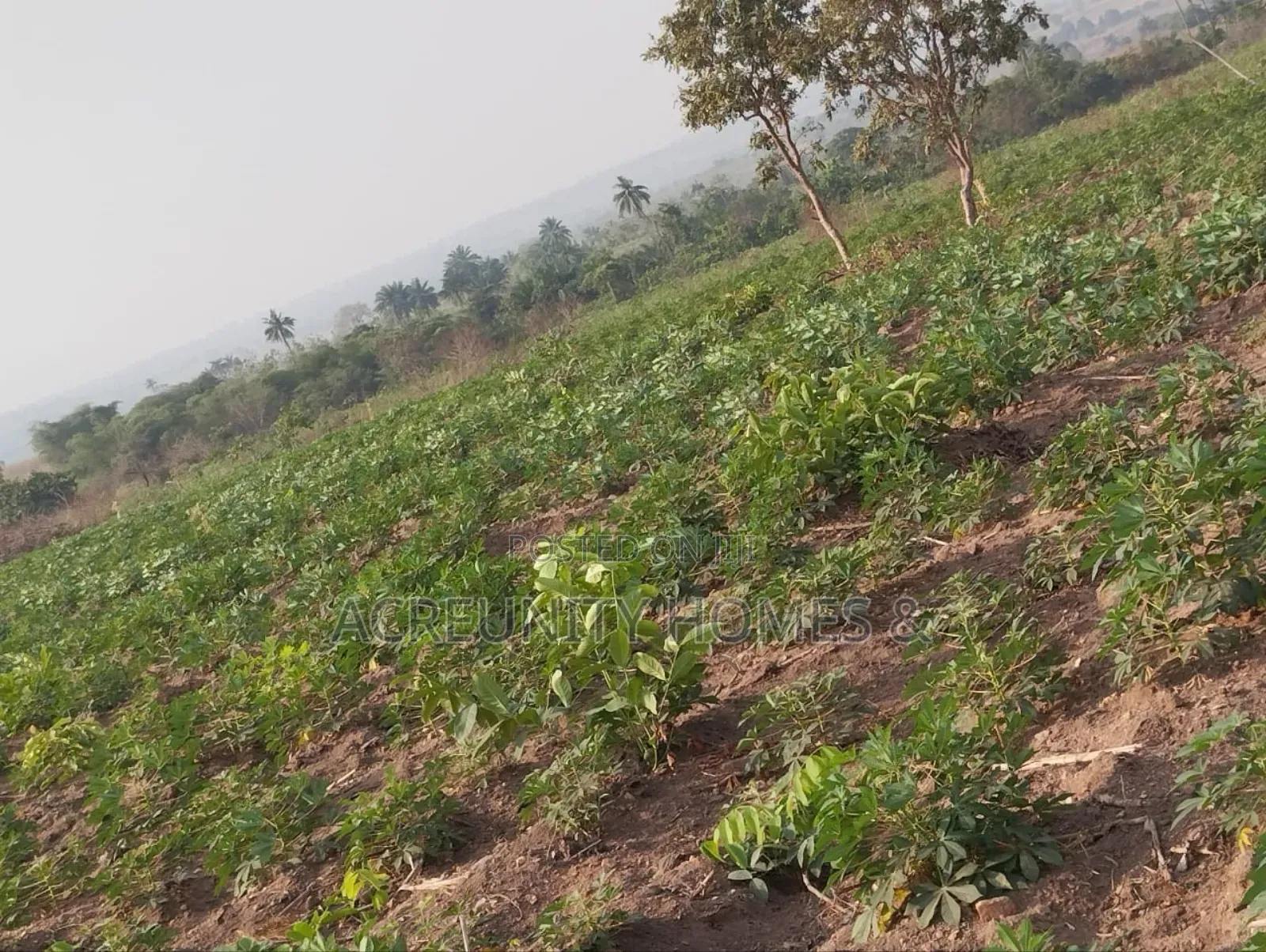 10 Acres of Land for Sale – Km 9, Iseyin–Ogbomoso Road