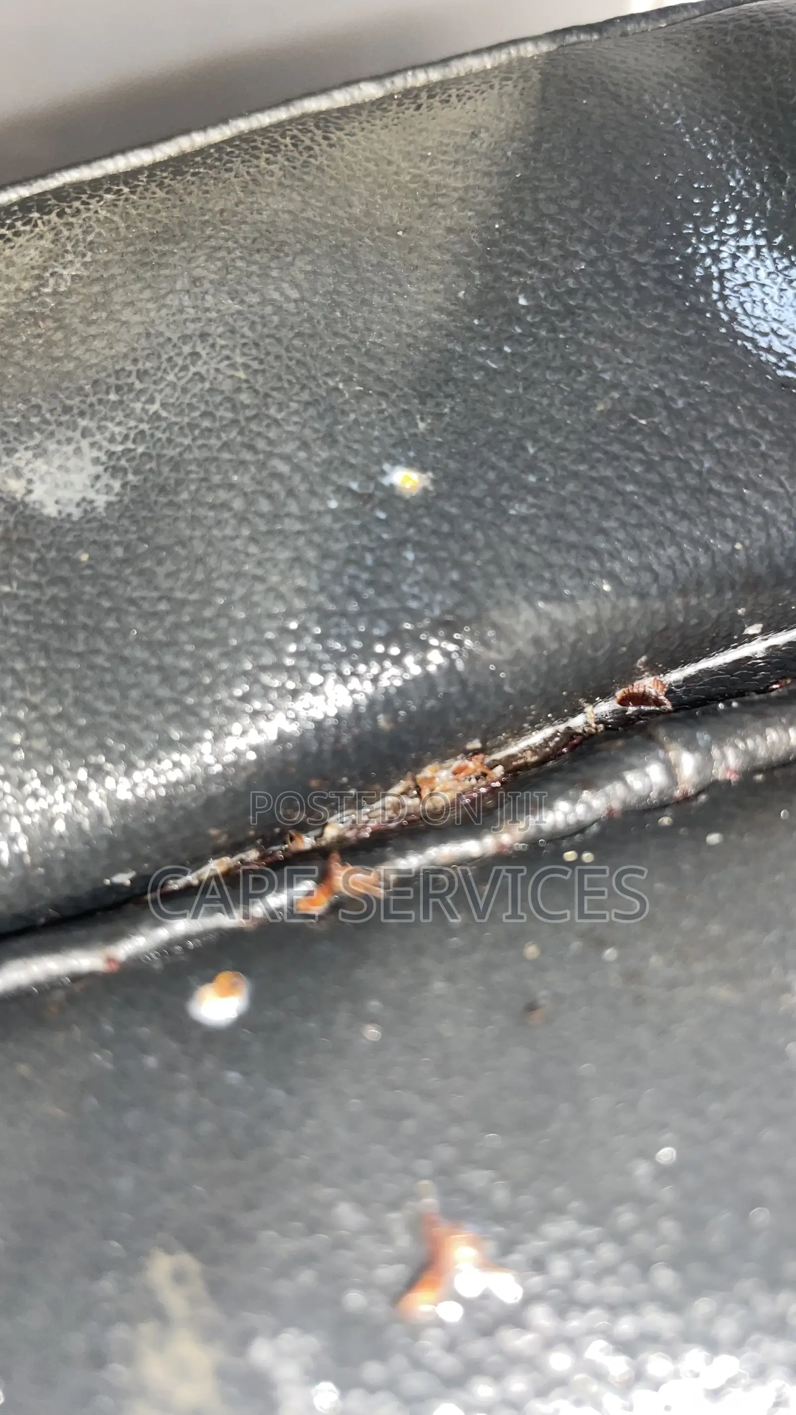 Certified Bedbug Solution