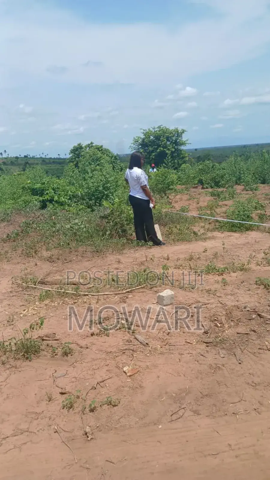 Verified Land in Ibusa (St Kitts) • 50×100 • ₦6m • Verified Docs