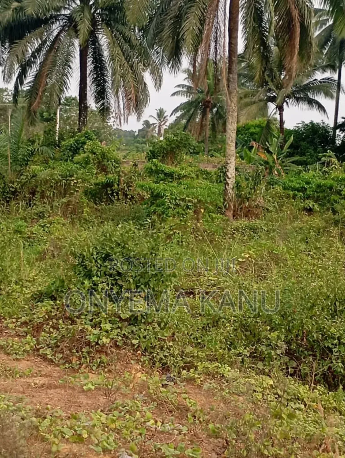 4 Plots by Aba-Portharcourt Highway