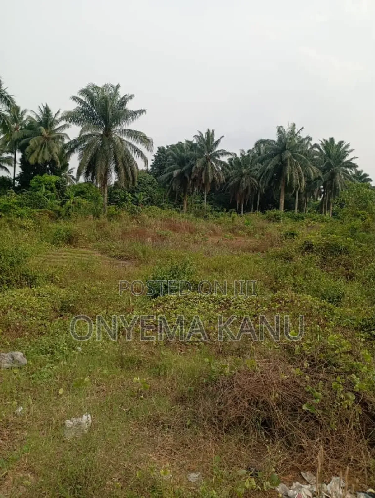 4 Plots by Aba-Portharcourt Highway