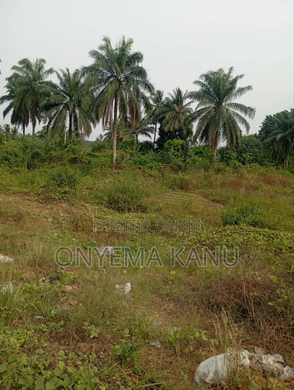 4 Plots by Aba-Portharcourt Highway