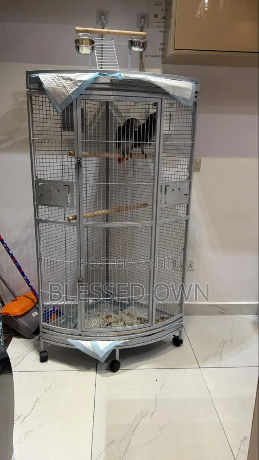 Imported Strong And Spacious Parrot Bird Cage