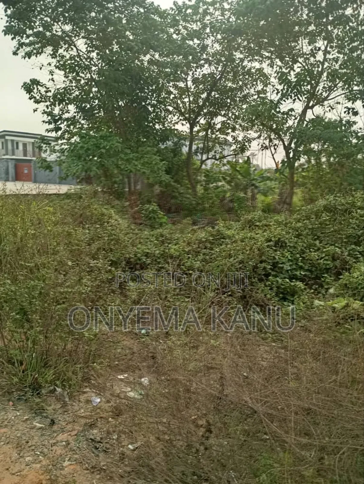 Six Plots Along the Highway