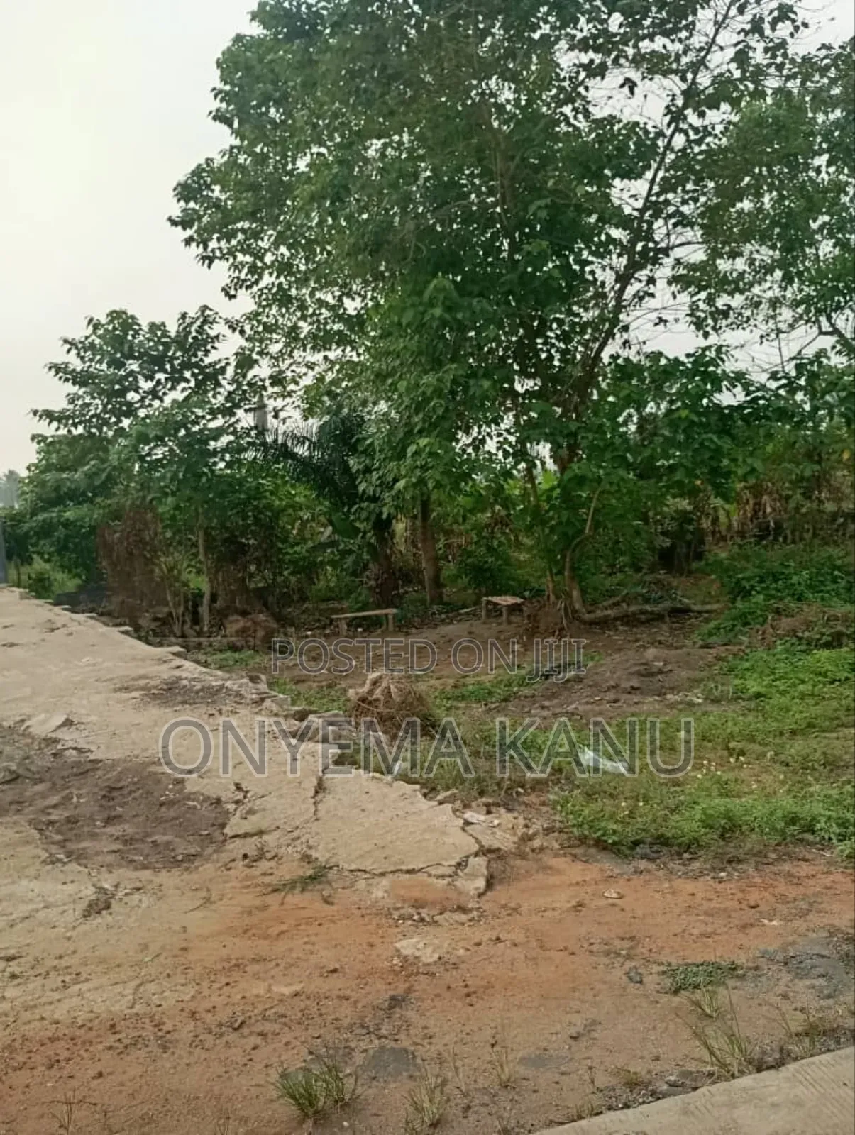 Six Plots Along the Highway