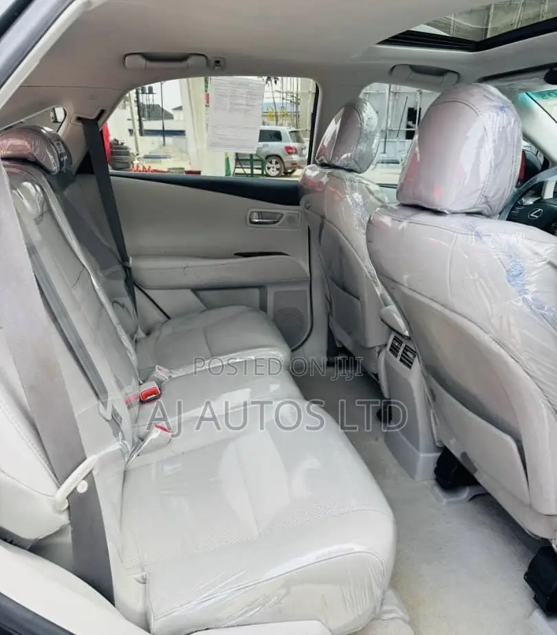 Lexus RX 350 2010 Gray