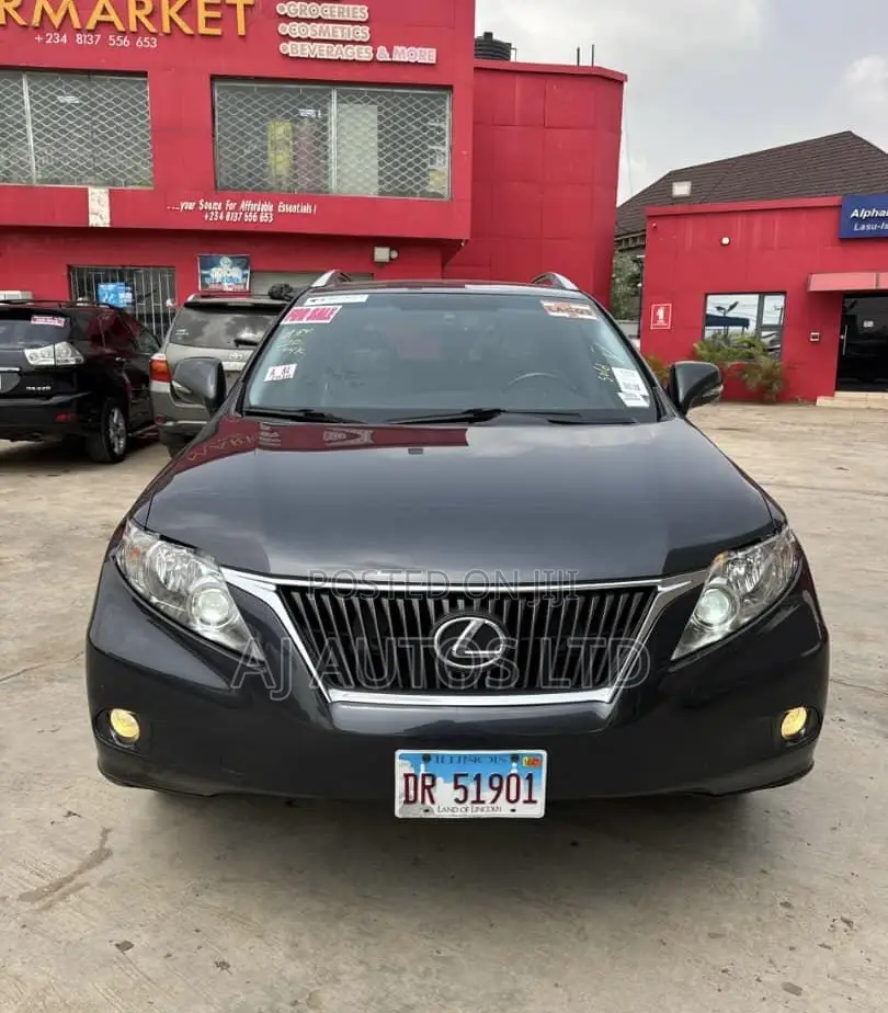 Lexus RX 350 2010 Gray
