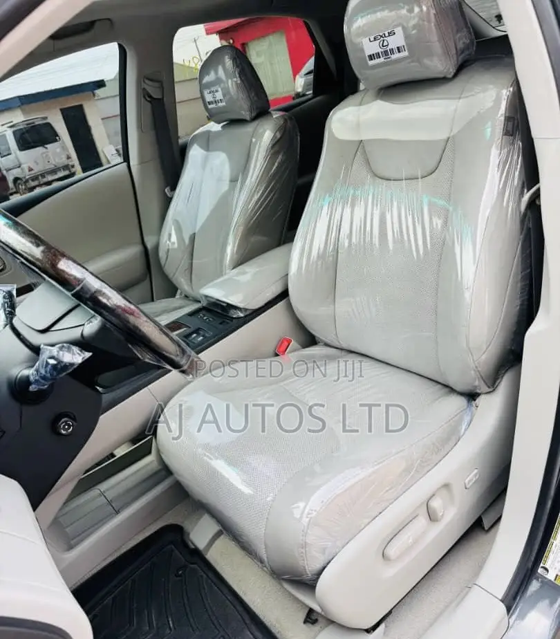 Lexus RX 350 2010 Gray