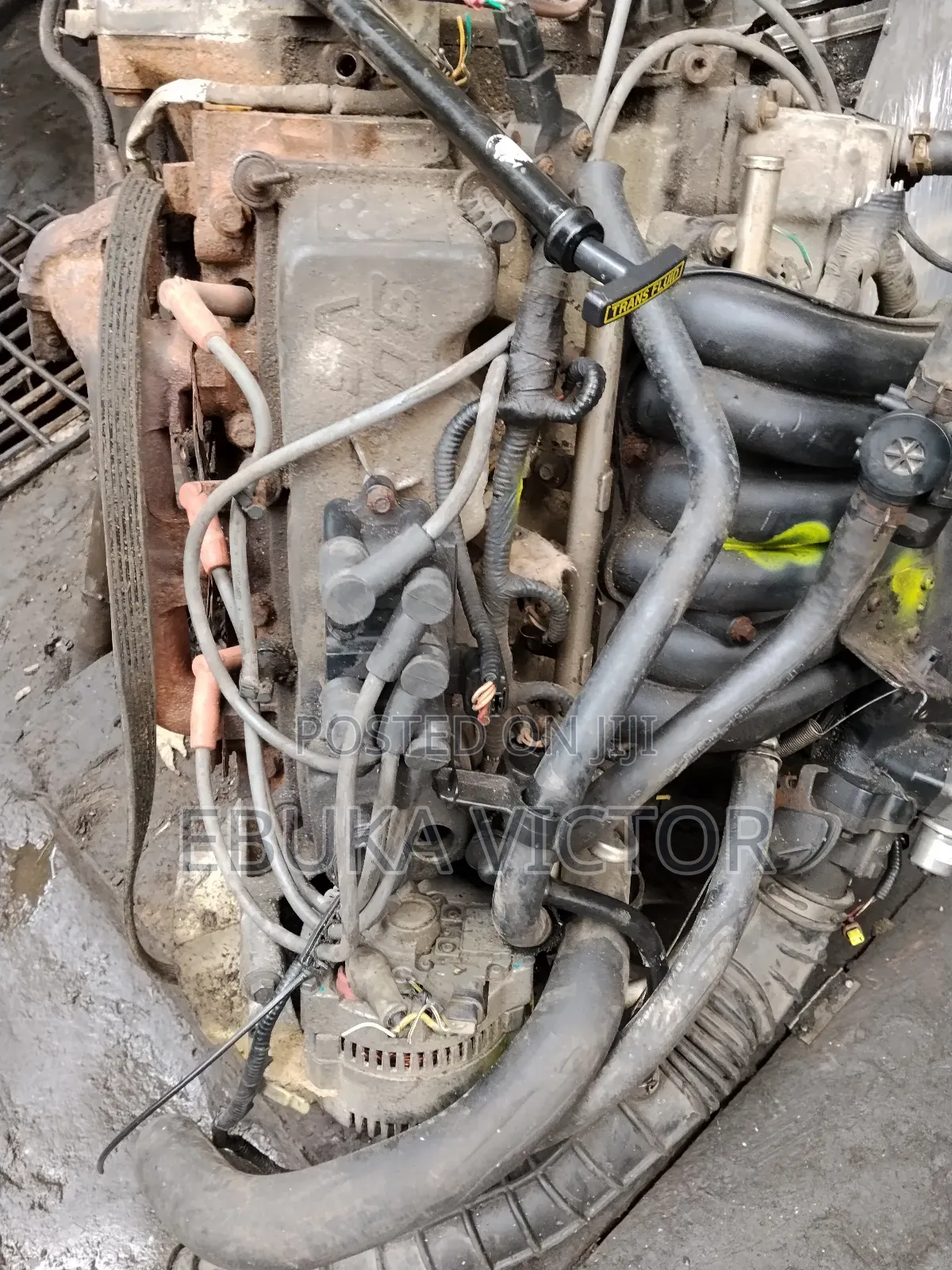 Complete Engine and Gearbox Ford Ranger 3.0