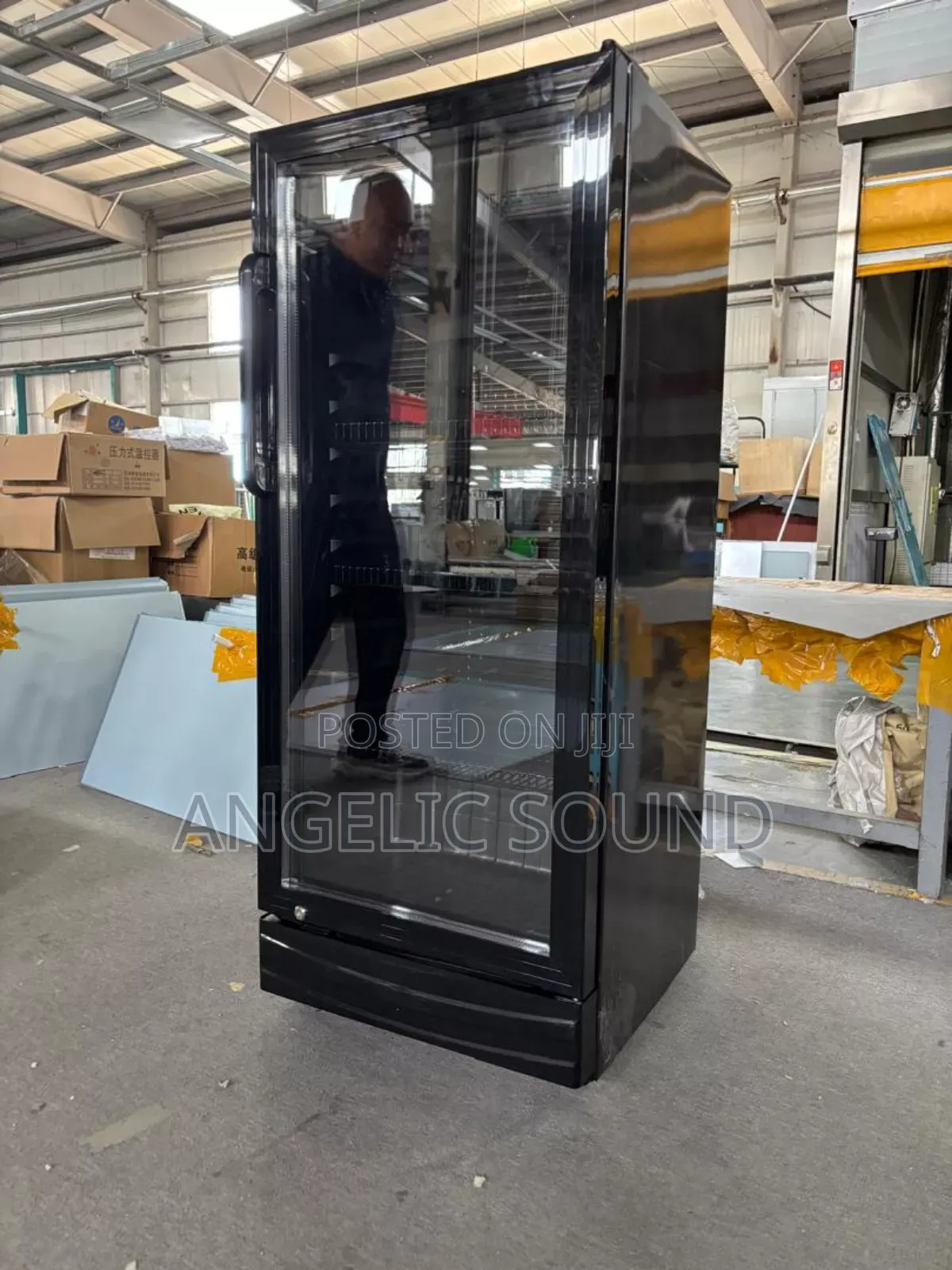 Snowsea Fast Frezen Chiller With 270 Litter