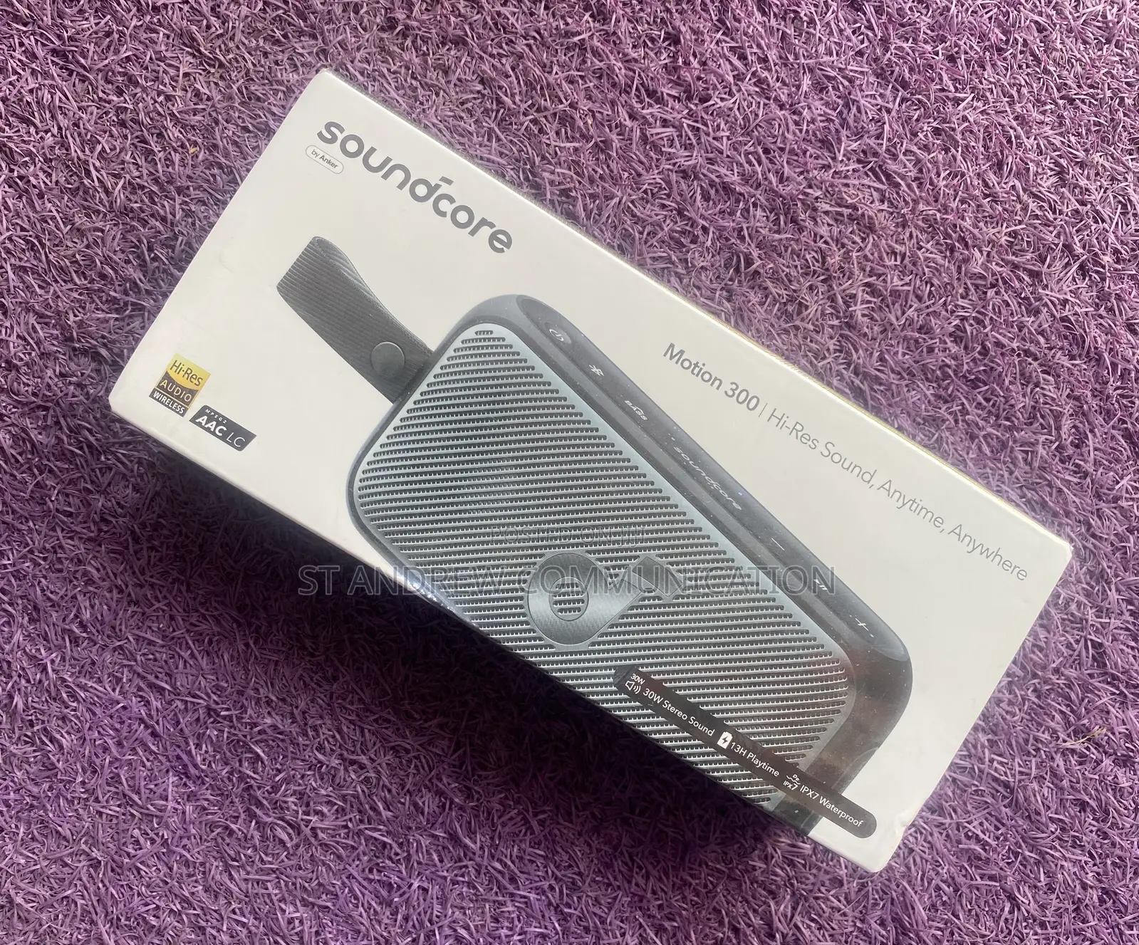 Soundcore Motion 300