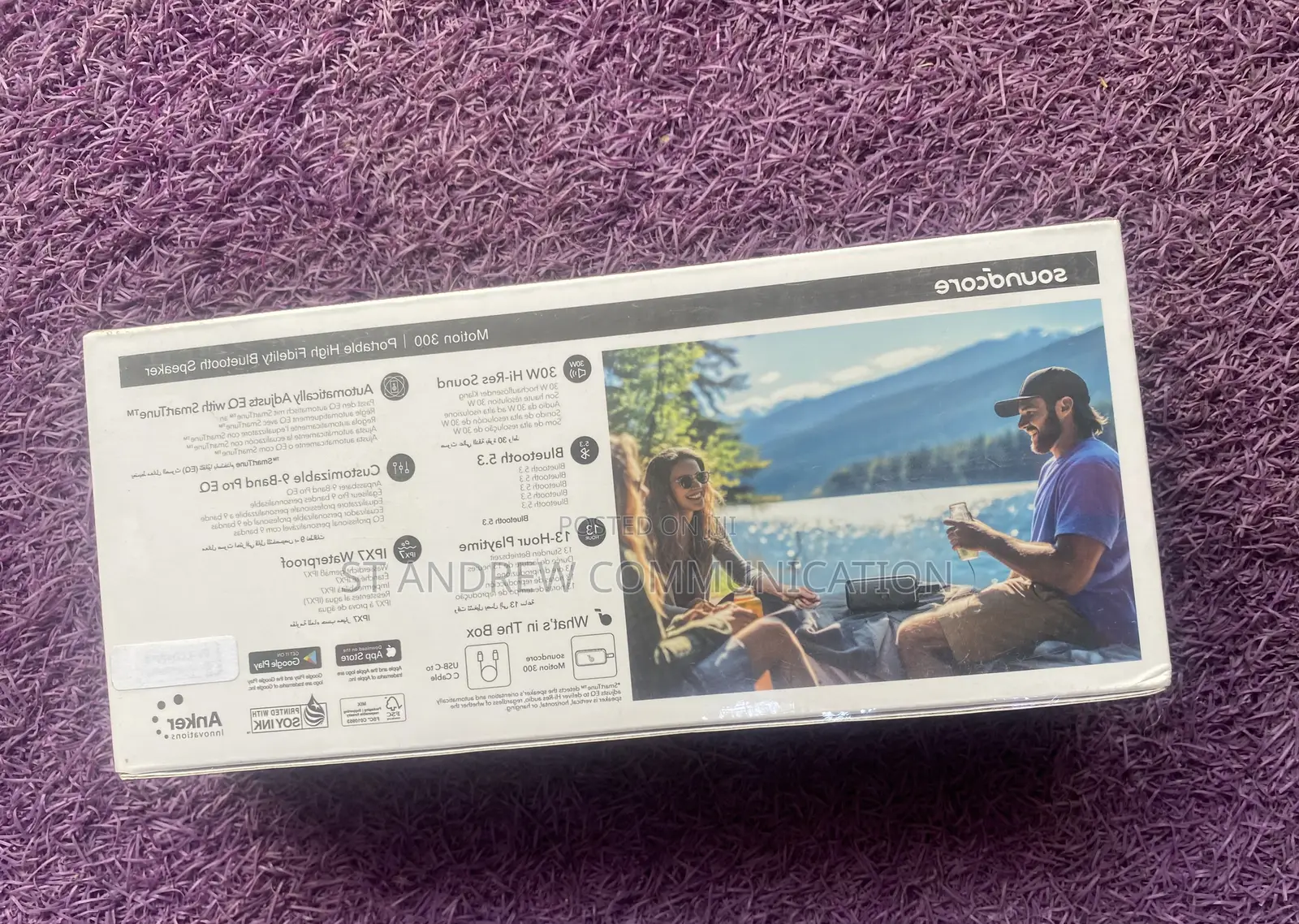 Soundcore Motion 300