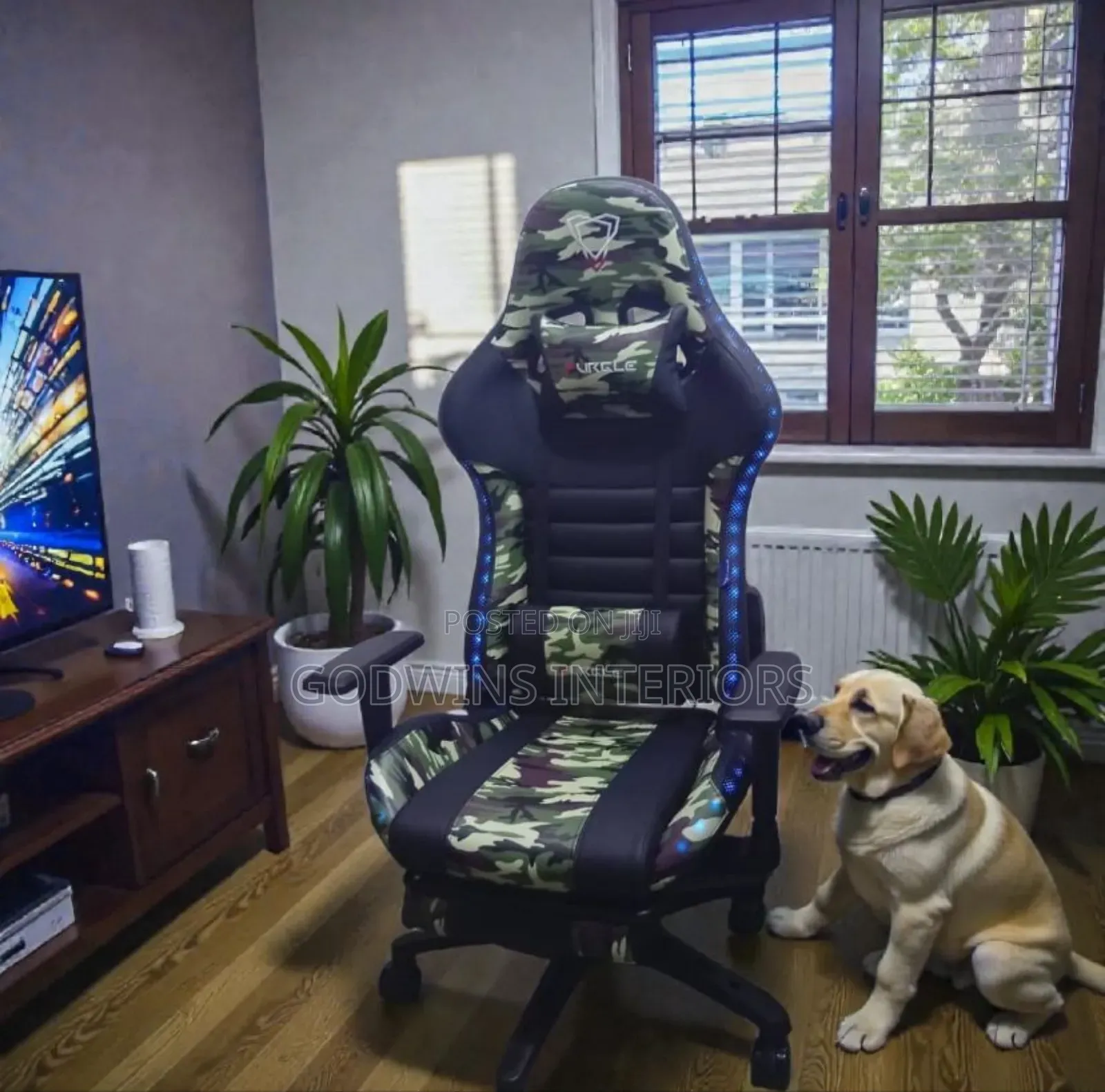 New Furgle Chair With Led Light