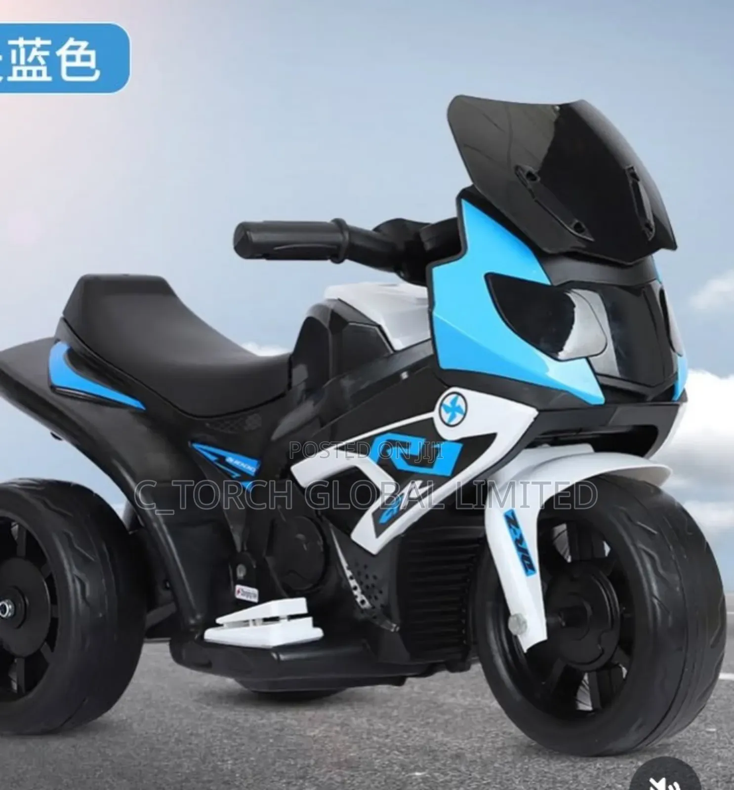 Electric Power Bike 