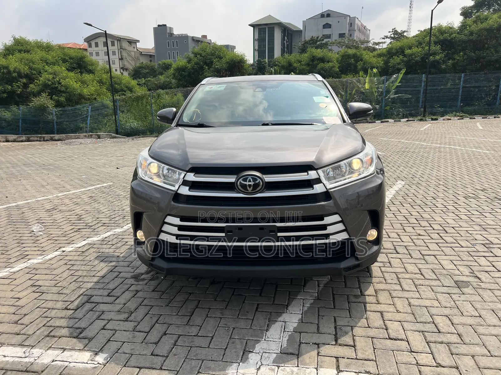 Toyota Highlander XLE 2019 Brown