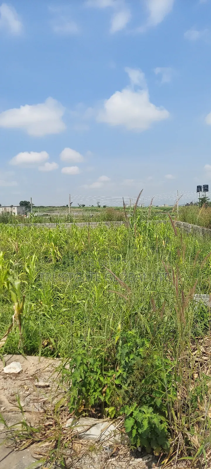 13.39 Hectares in Karsana West