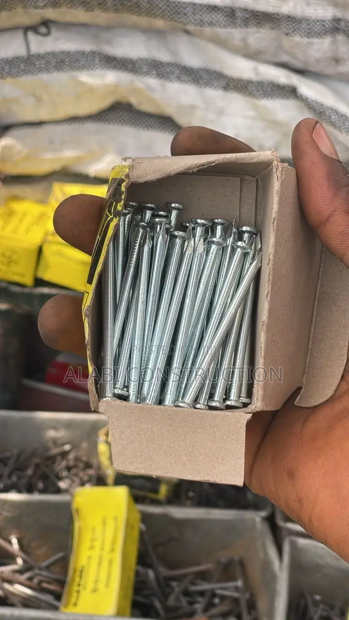 Concrete Roofing Nail for Building/Construction