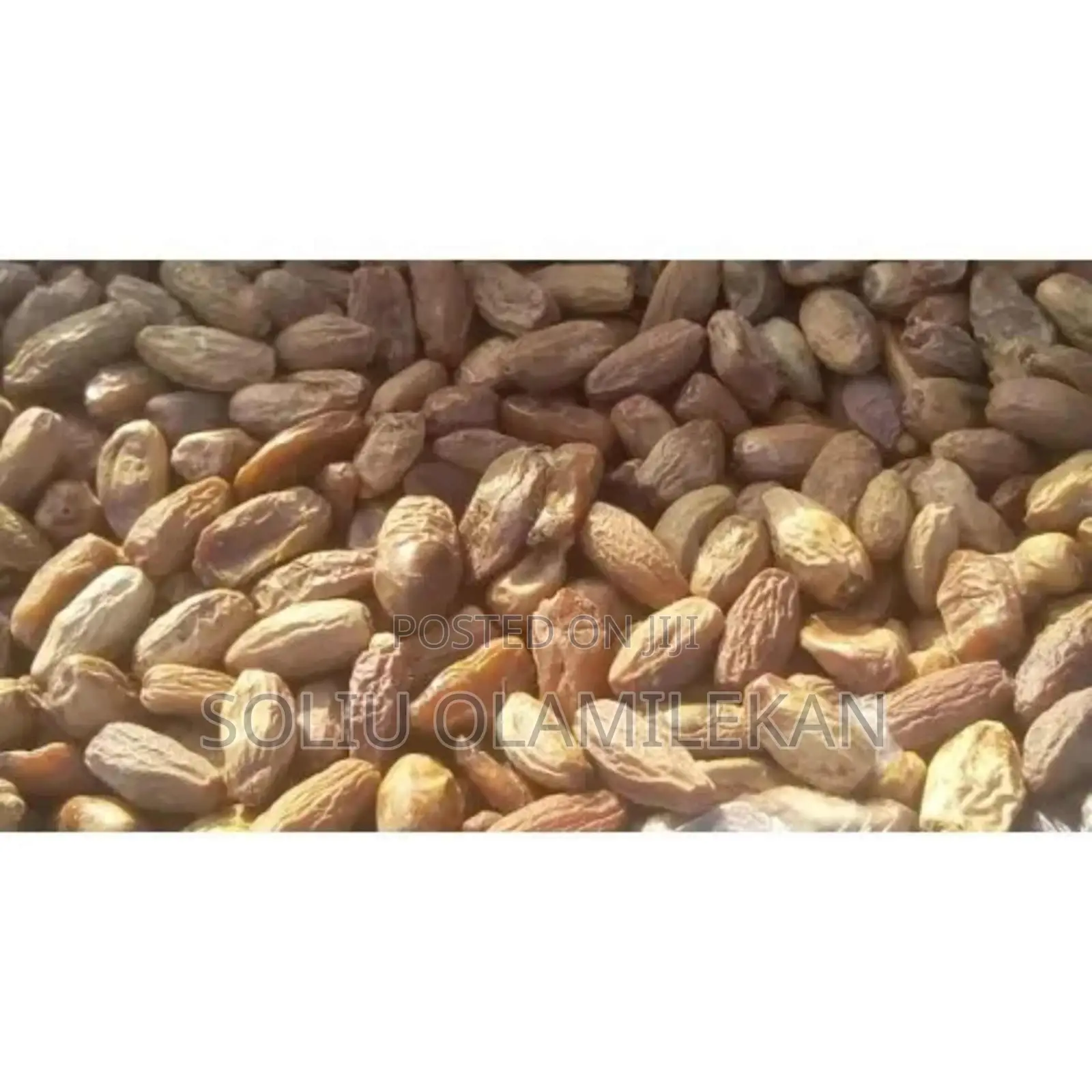 Organic Dates -1 Paint - 5kg