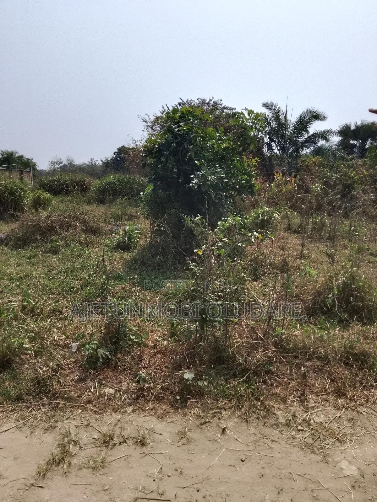 Land and 2 Confirm Plots for Sale