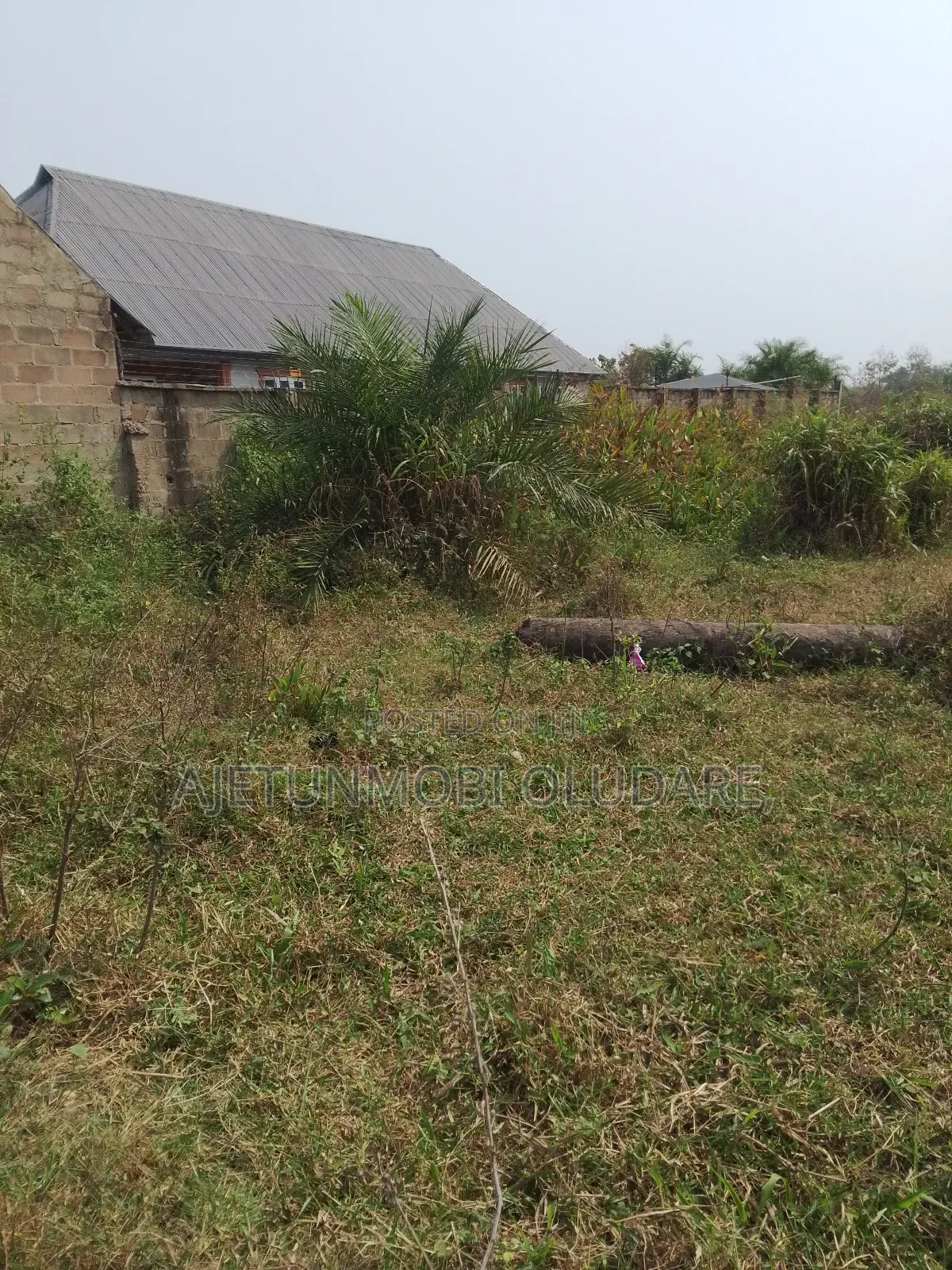 Land and 2 Confirm Plots for Sale
