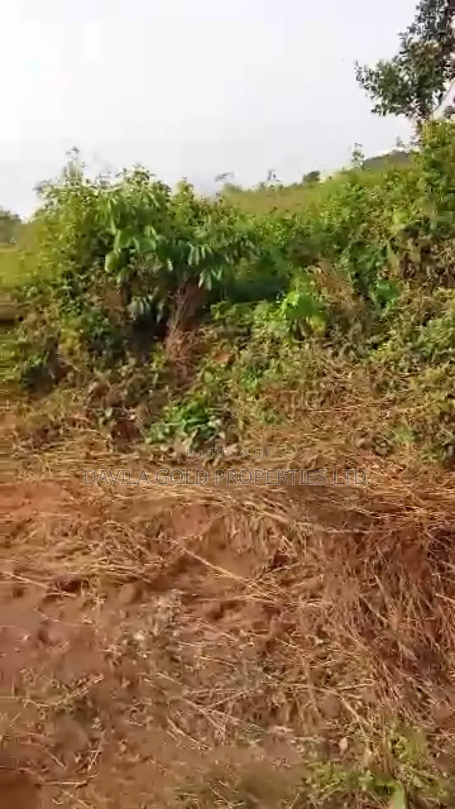 Large Parcel of Land for Sale