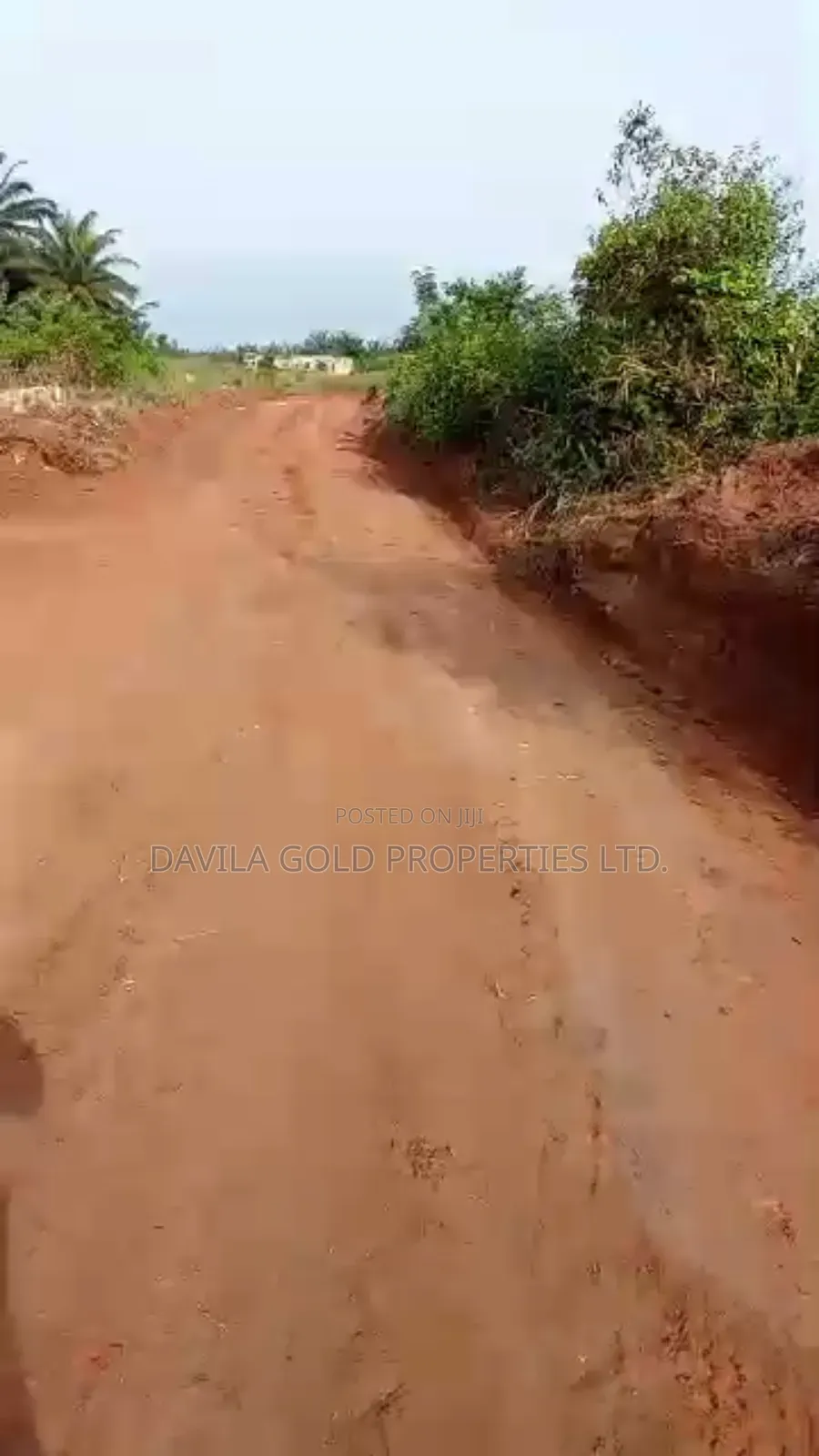 Large Parcel of Land for Sale