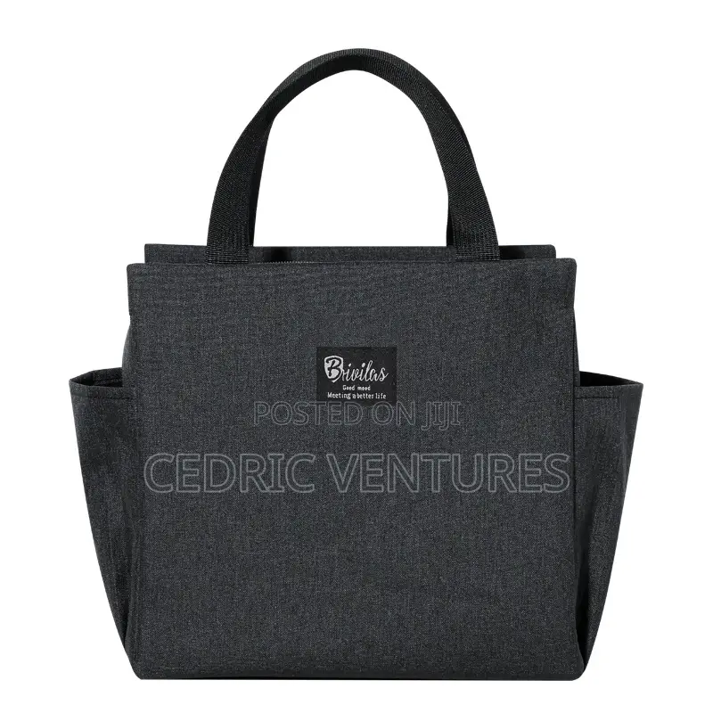 Portable Insulated Lunch Bag With Side Pockets